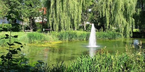 Teich mit Fontäne in grün bewachsenem Park