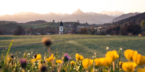 Blumen, Wiese, Tal, Kirche und Bergpanorama