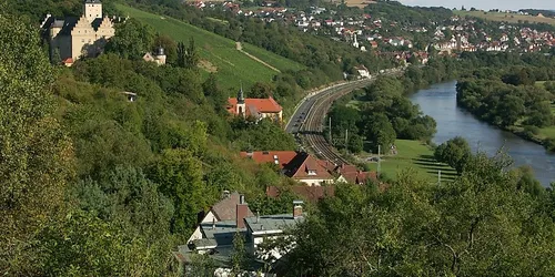 Schonungen