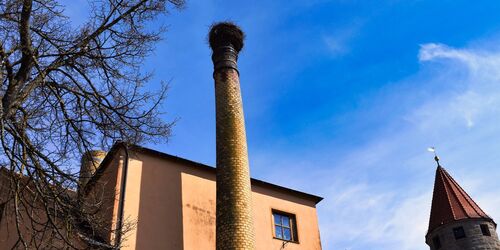 Storchenhorst Trommetsheim