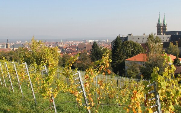 Michaelsberg mit Bambergs Weinberg, Foto: Tourismus & Kongress Service