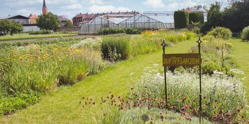 Der Schaukräutergarten von MUssAEROL, Foto: MUssAEROL