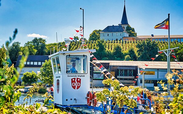 Mainfähre Wipfeld