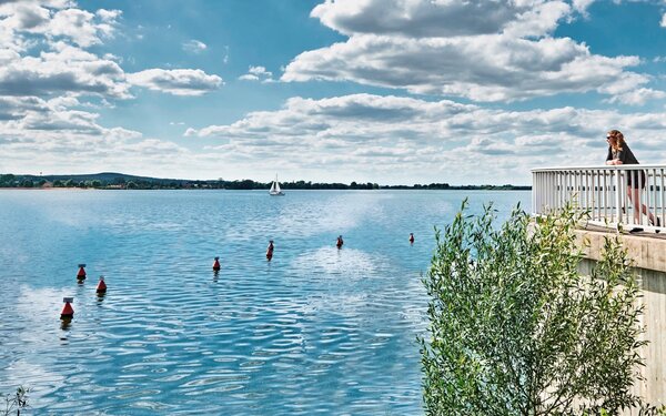 Auslauftulpe am Altmühlsee