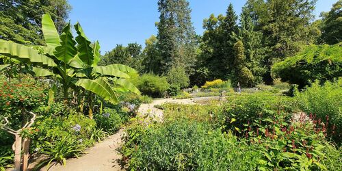 Stadtpark Fürth, Foto: TI Fürth