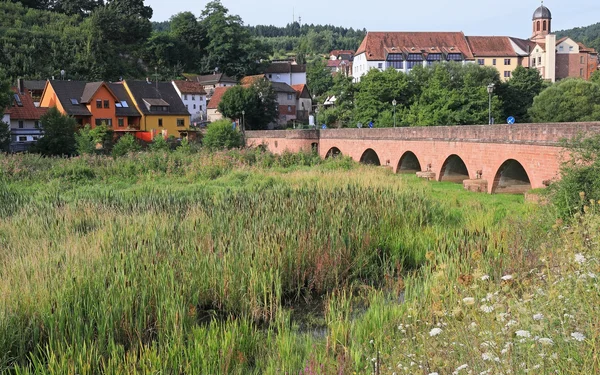 Auenlandschaft im Sinngrund mit der Ortschaft Rieneck, Foto: Uwe Miethe, Lizenz: DB AG