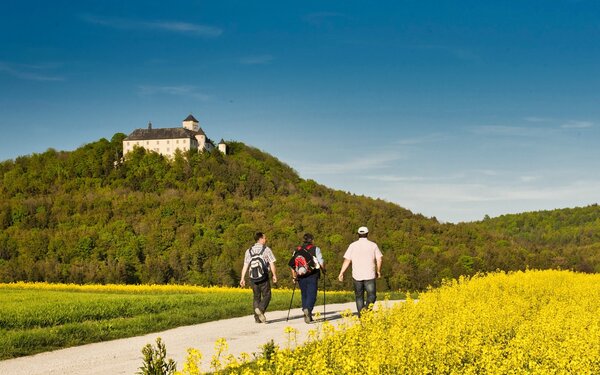 Schloss Greifenstein