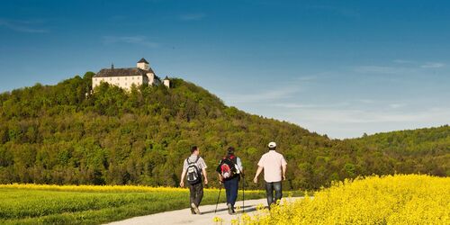 Schloss Greifenstein
