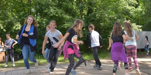 Große Balancescheibe
