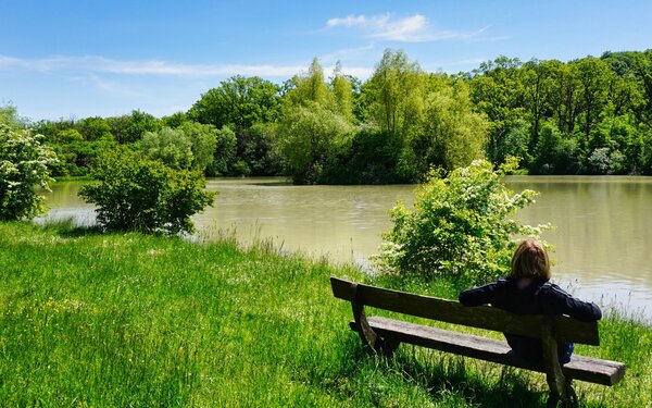 Wolfsee (bei Markt Bibart)