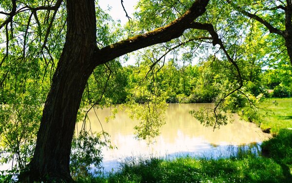 Wolfsee (Markt Bibart), Foto: Stefanie Binder