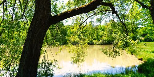 Wolfsee (Markt Bibart)