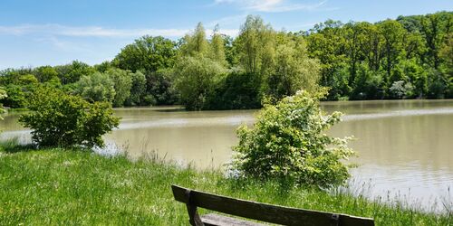 Wolfsee (Markt Bibart)