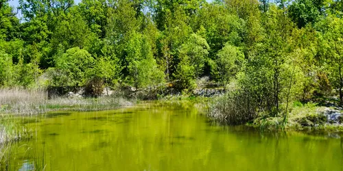 ehemalige Steinbruch bei Markt Bibart, Foto: Stefanie Binder