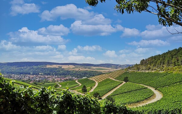 Weinberge Thüngersheim