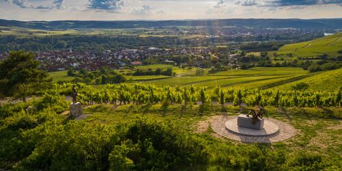 terroir f  , Foto: Rolf Nachbar, Lizenz: Gemeinde Thüngersheim