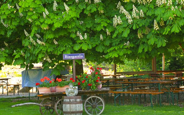 Biergarten unter ehrwürdigen Kastanien, Foto: Fuchsgarten