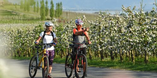 Panoramatour Lindau, Foto: Lindau Tourismus und Kongress GmbH