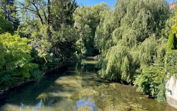 Wasserlauf in Freising, Foto: Frank Schwarz