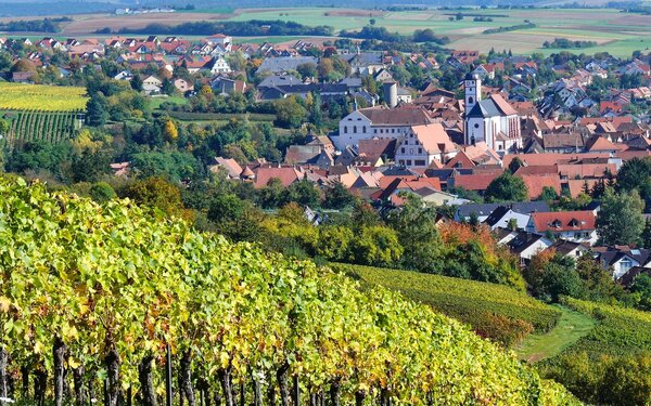 Weinbergblick auf Dettelbach