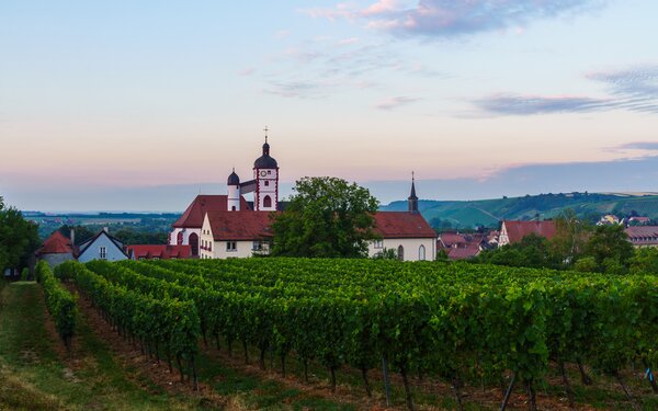 Weinberg auf dem Sagen- und Mythenweg Dettelbach