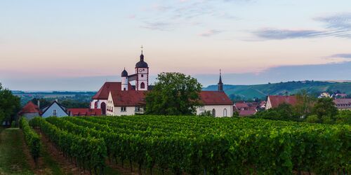 Weinberg auf dem Sagen- und Mythenweg Dettelbach