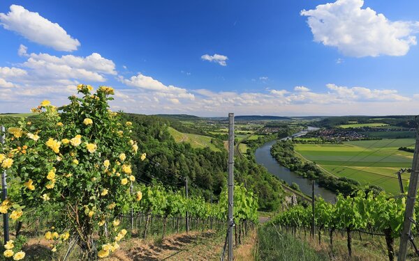 Blick von der Weinlage Stettener Stein in Richtung Himmelstadt, Foto: Uwe Miethe, Lizenz: DB