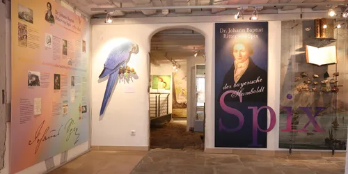 Spix Museum, Foto: Spix Museum