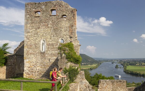 Burgruine Donaustauf