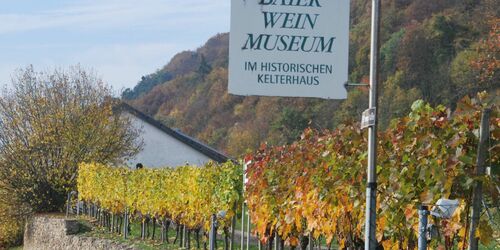 Baierweinmuseum im Herbst