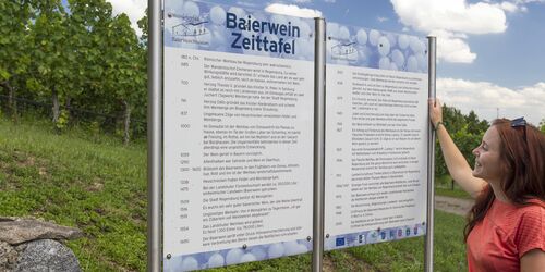 Zeittafel Weinlehrpfad Baierweinmuseum Bach