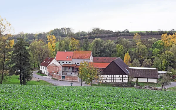 Foto: Uwe Miethe