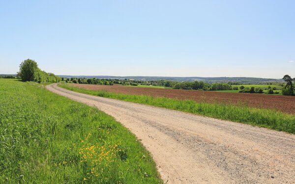 Auf dem Weg
