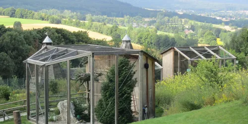 Wunsiedel Greifvogelpark, Foto: Wikipedia, Corradox