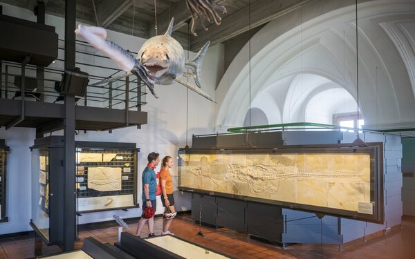 Fossilien im Jura-Museum Eichstätt
