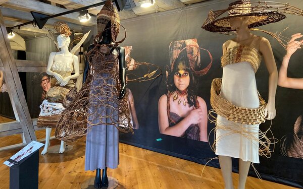 Ausstellung 7 Salix und 7 Plejaden im Stadtschloss