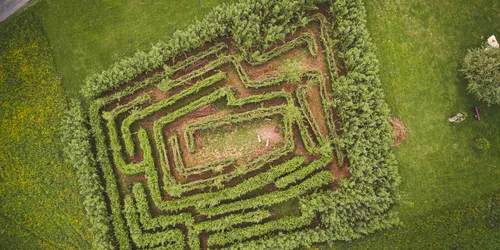 Weidenlabyrinth Lichtenfels, Foto: Klaus Wendel