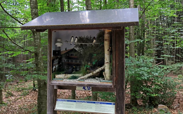 Der Vogellehrpfad Friesenried, Foto: Uwe Miethe