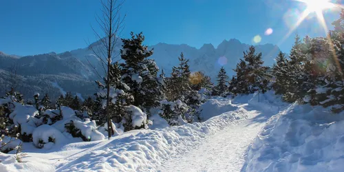 Foto: Andreas Stach Pixabay