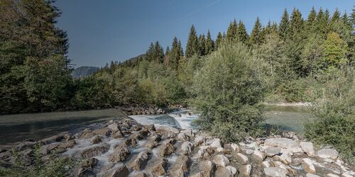 Grüner Wald und Fluss