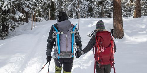Zwei Wanderer in verschneiter Landschaft