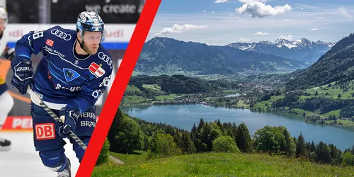 Collage von ERC Ingolstadt Spieler mit Grossem Alpsee