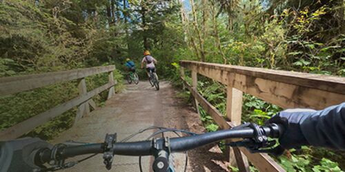 Radfahrer auf Radweg durch Wald