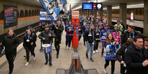 ERC Ingolstadt Fans am Bahnsteig