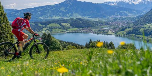 Radfahrer im Sommer am Grossen Alpsee