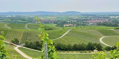 Panoramablick über Weinberge