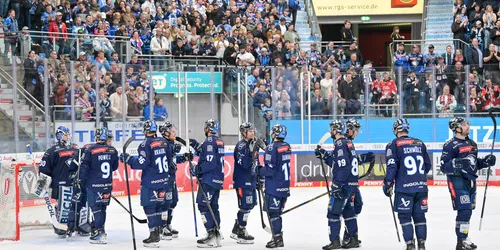 Man sieht eine Eishockeymannschaft die sich gegenseitig abklatscht