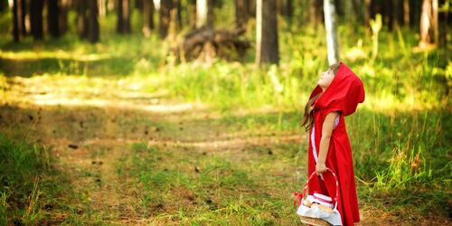 Kleines, als Rotkäppchen verkleidetes, Mädchen steht auf einer Lichtung im Wald