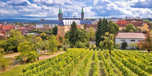 Weinberge mit Bamberg im Hintergrund