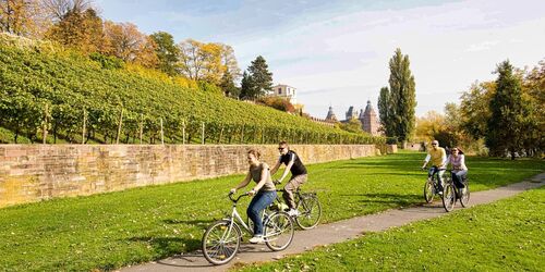 Weinberge mit Fahrradweg und Radfahrern